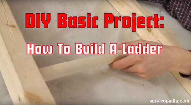 DIY Ladder 