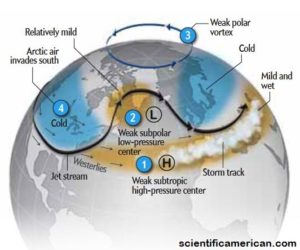 11 Tips On How To Survive A Polar Vortex - Survivopedia