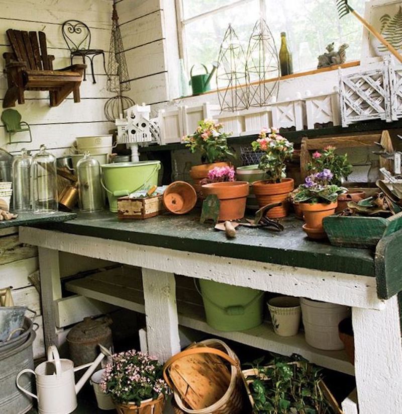 How To Transform Your Garden Shed To Grow Your Own Food - Survivopedia
